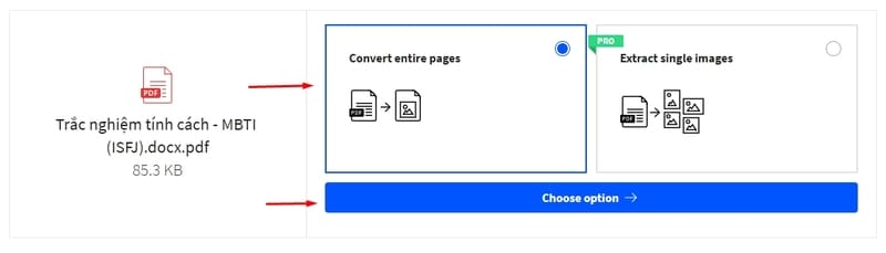 Chọn tùy chọn Convert entire pages để chuyển đổi toàn bộ các trang PDF