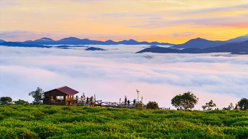 Không gian xanh mát, yên bình với những đồi chè bát ngát