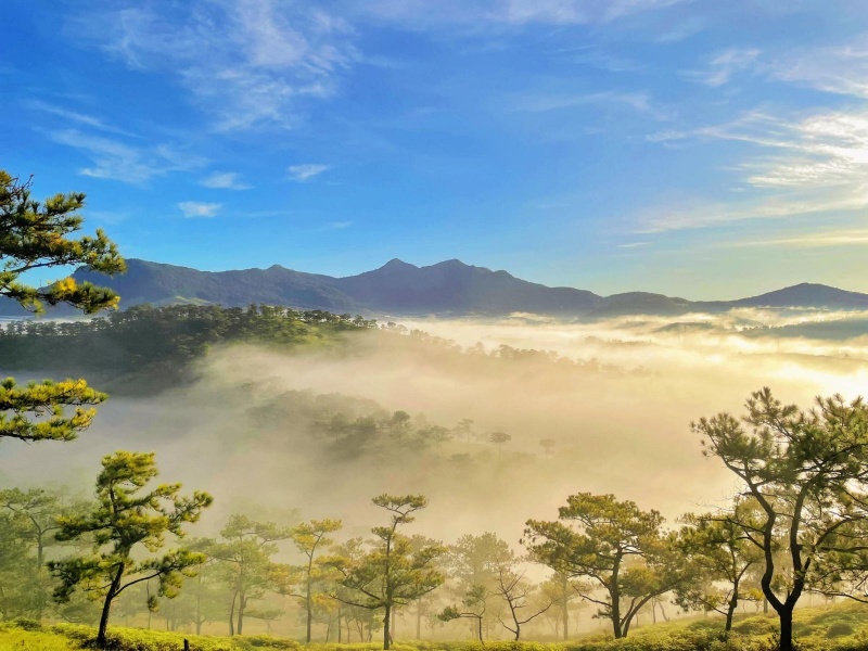 thời tiết lạnh và sương mù dày tại Đà Lạt