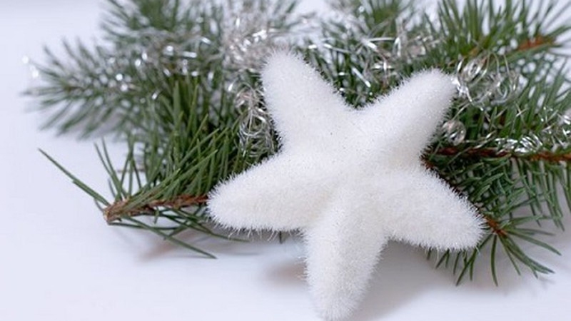 Ngôi sao trắng trang trí cùng cành thông xanh