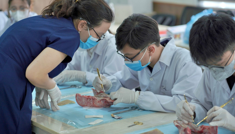 Mức học phí mà sinh viên trường Đại học Y Dược (ĐHQG Hà Nội) phải đóng