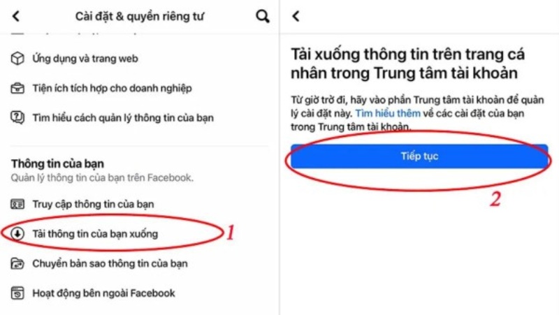 Tùy chọn tải thông tin Facebook xuống để khôi phục tin nhắn Messenger