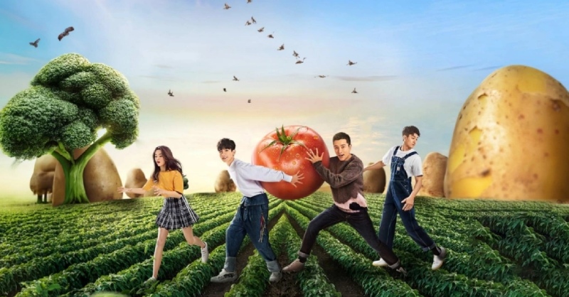Poster các nhân vật tham gia gia đình haha