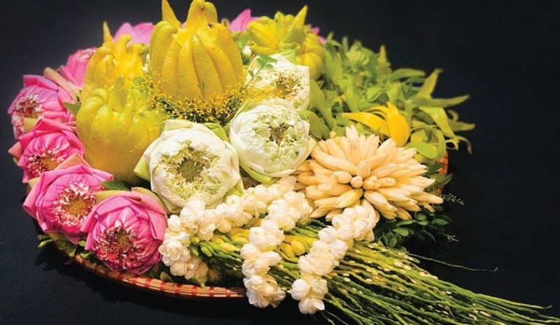 Những bông hoa sen đẹp mắt