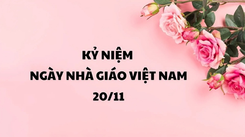  background 20 11 hoa cỏ thu hút nhất