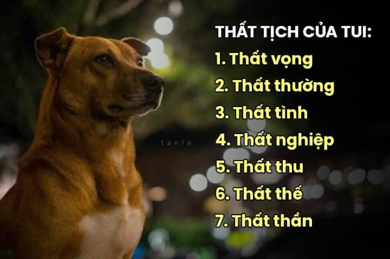  Mùa này full combo thất – thất tình, thất nghiệp, thất thu