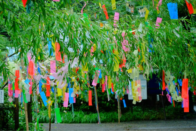 Viết mong ước treo trên cây vào thất tịch