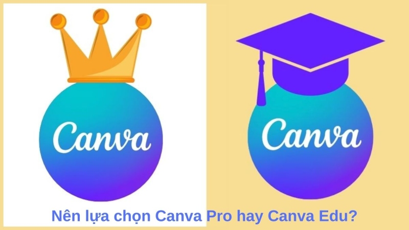 Canva Pro và Canva Edu đặt cạnh nhau với màu tím xanh, gợi ý lựa chọn giữa hai phiên bản
