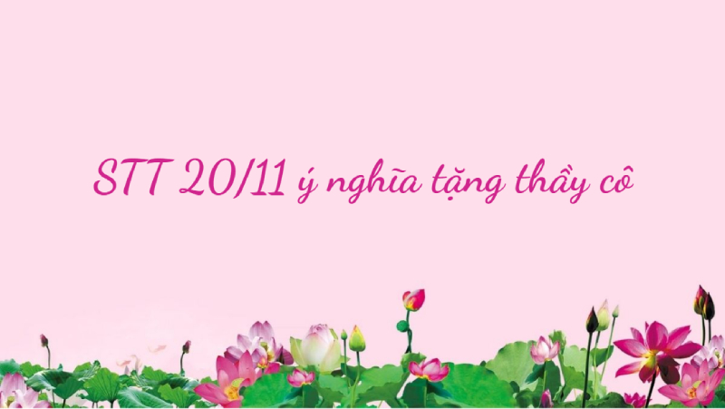 Hình nền STT 20/11 ý nghĩa tặng thầy cô với hoa sen hồng