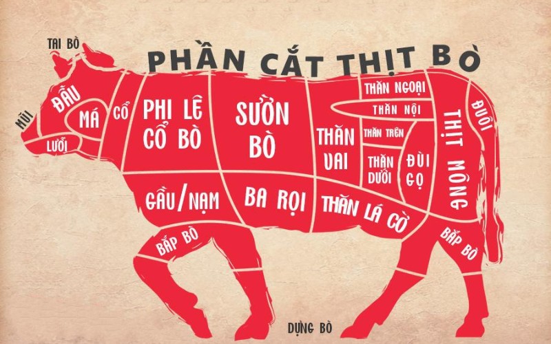 Sườn bò là phần xương sườn phía trước