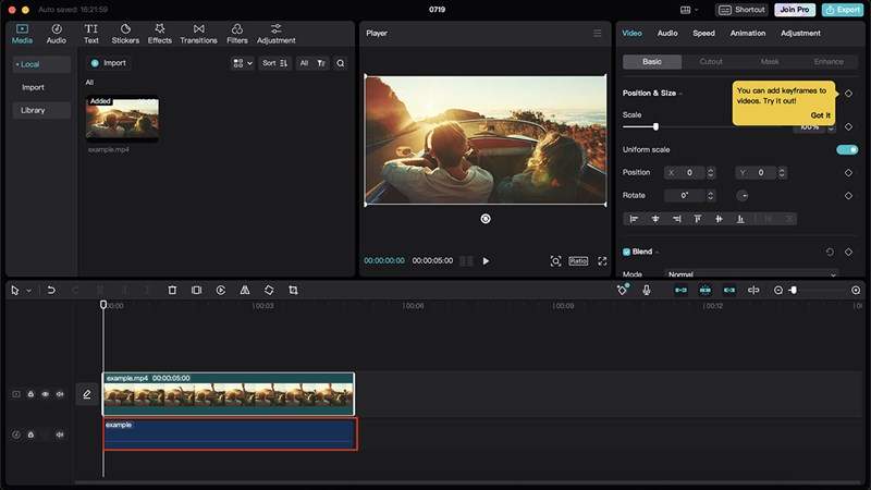 Hiển thị kết quả sau khi tách âm thanh khỏi video trong CapCut