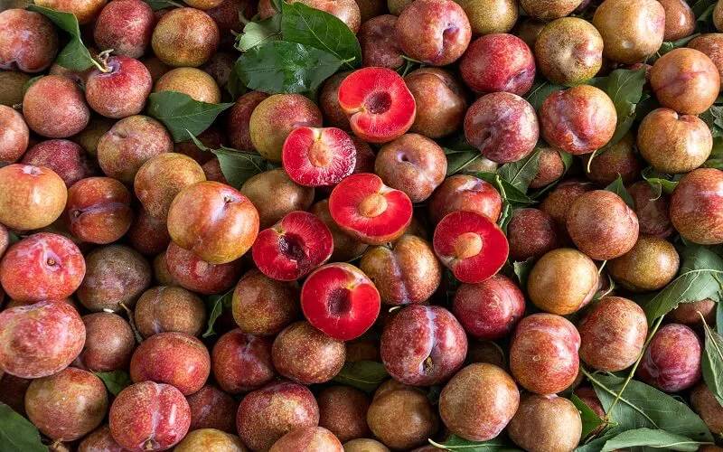 Mận và thịt gà đều có tác dụng điều nhiệt, hoạt huyết