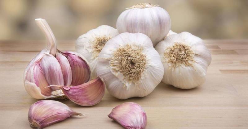  Tỏi và hành sống với thịt gà gây cho hệ tiêu háo nhạy cảm