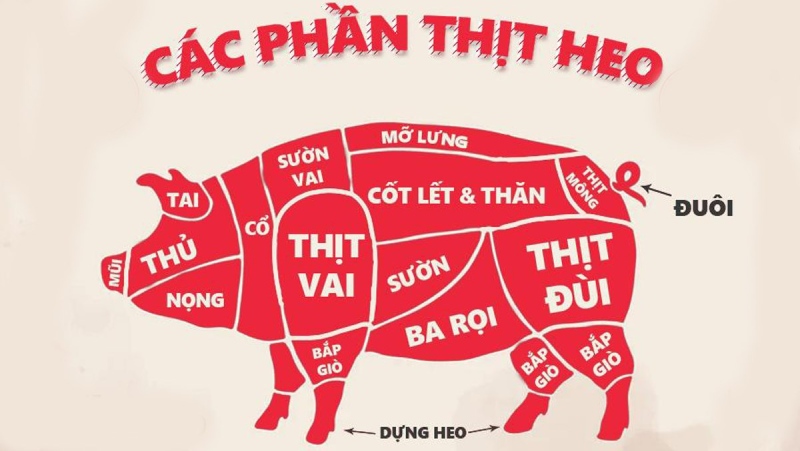 Sơ đồ vị trí thăn thịt heo trên cơ thể con heo