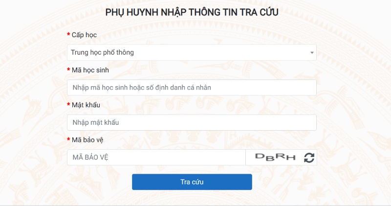 Các thông tin cần nhập để tra cứu điểm thi