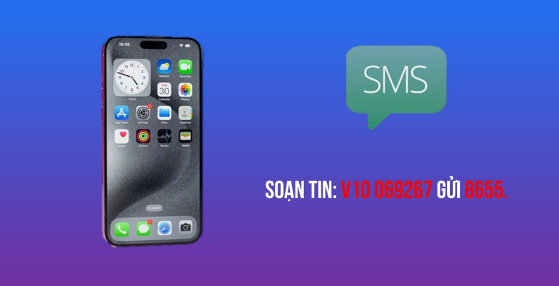 Soạn tin với cú pháp trong hình để tra cứu