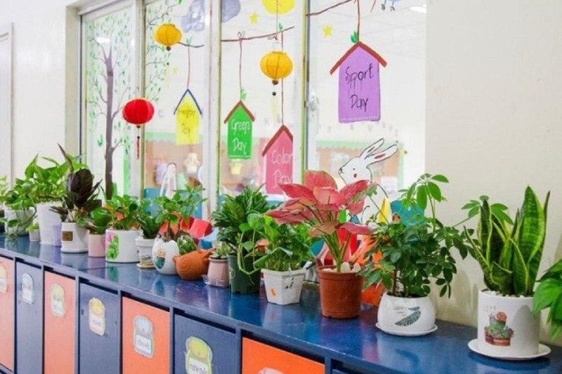 Trang trí lớp học Tết bằng chậu cây