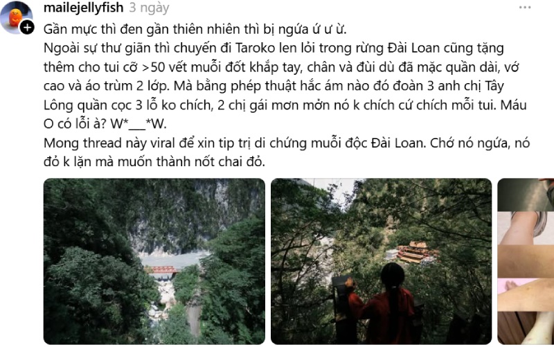 Nội dung hài hước bị muỗi đốt khi gần thiên nhiên