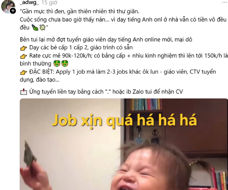Tuyển việc làm với caption đu trend