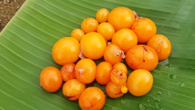 Trứng gà non tươi
