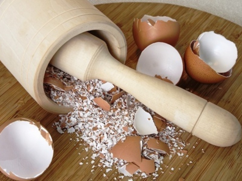 Khám phá xem công dụng của vỏ trứng gà