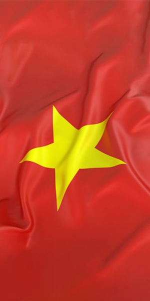 Cờ đỏ sao vàng bay phấp phới
