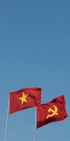 Cờ nước và cờ Đảng