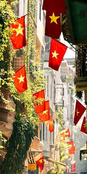 Cờ Việt Nam trên đường phố