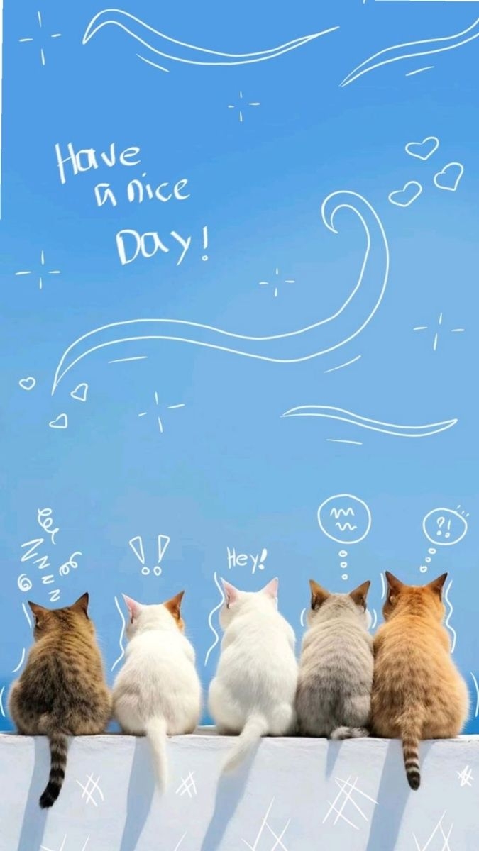 Hình nền 5 chú mèo dễ thương
