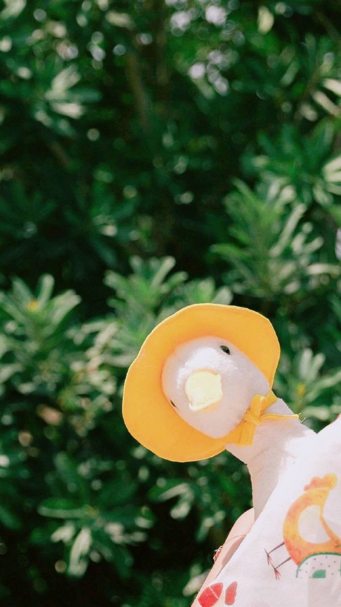 Hình nền chú vịt cute