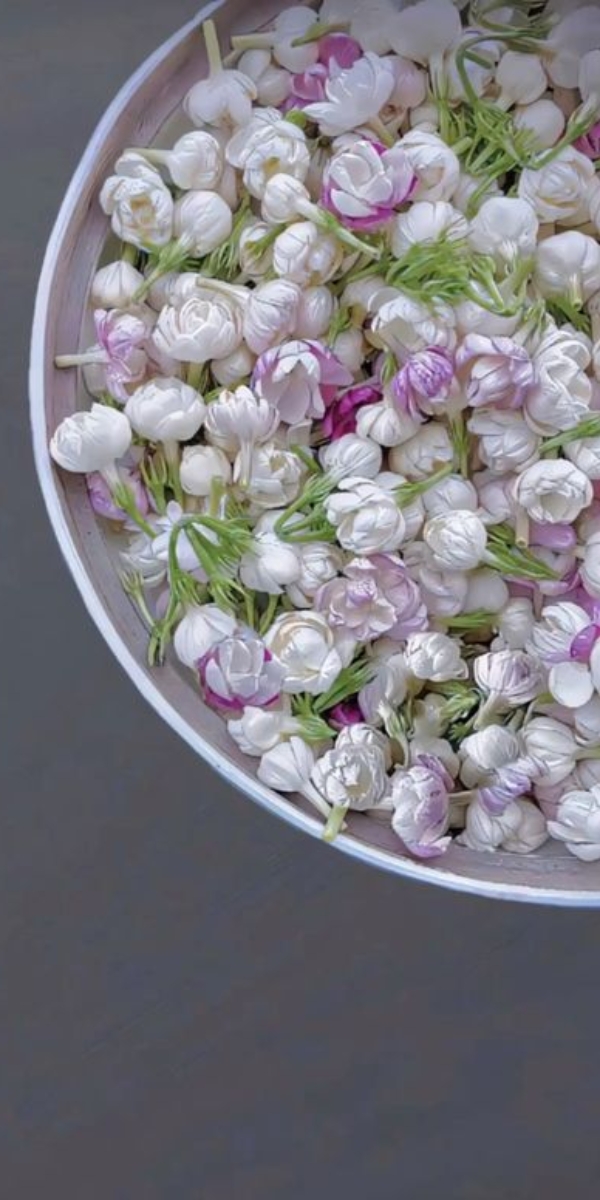 Hình nền hoa sắc nét