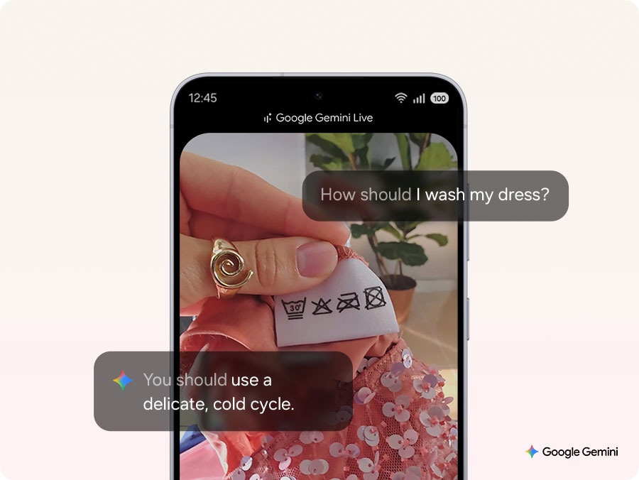 Google Gemini