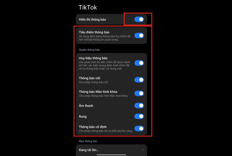 Bật Hiển thị thông báo, điều chỉnh các kiểu thông báo theo ý muốn
