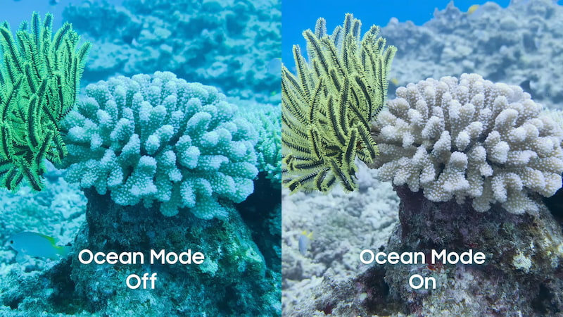 Chụp ảnh san hô với Ocean Mode trên Galaxy S26 Ultra