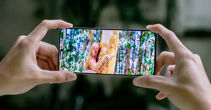 Đánh giá Samsung S25 FE về khả năng hiển thị