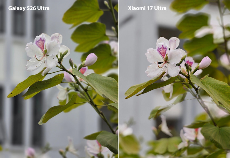 Khả năng quay chụp Galaxy S26 Ultra và Xiaomi 17 Ultra