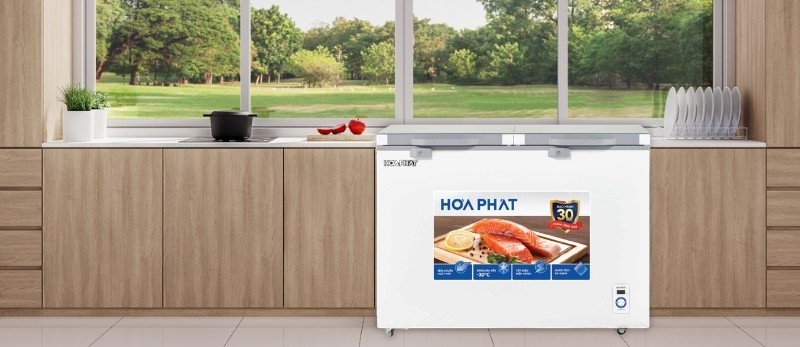 Tủ đông Hòa Phát HPF BD6245.T1 dung tích 245 lít