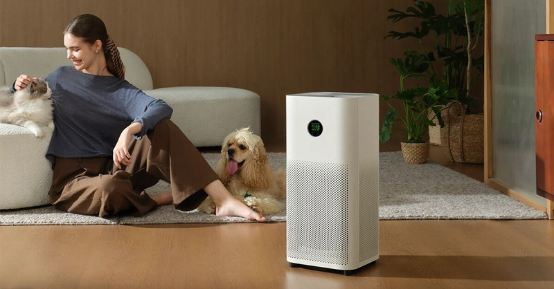 Cách dùng máy lọc không khí hiệu quả 