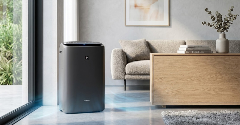 Không nên đặt máy lọc không khí phía sau đồ nội thất