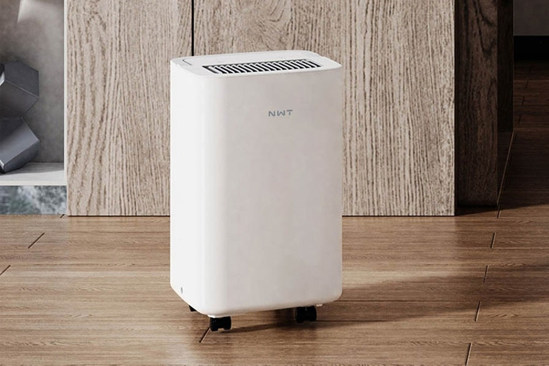 Máy hút ẩm hạn chế sự phát triển của nấm mốc, vi khuẩn