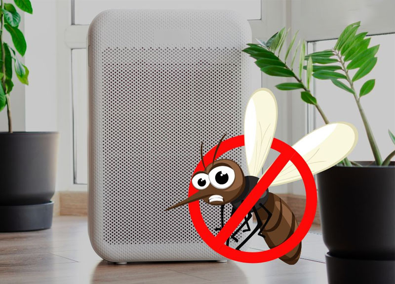 Máy lọc không khí trang bị tính năng bắt muỗi tiện lợi 