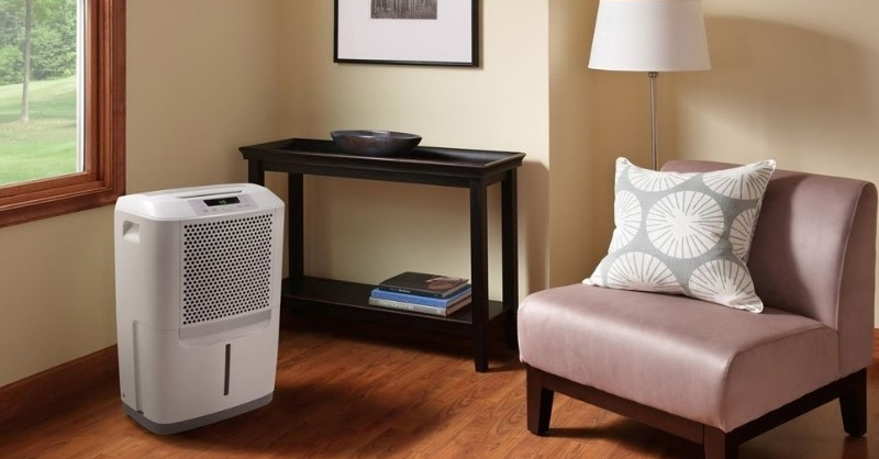 Mua máy hút ẩm khi độ ẩm trong phòng vượt ngưỡng cho phép 
