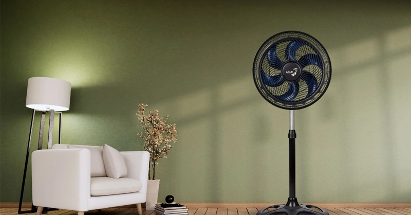 Quạt Asiavina là sản phẩm mà bạn nên cân nhắc