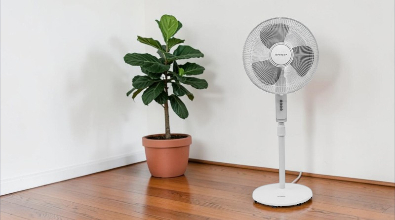 Quạt Đứng Sharp PJ-S40MV-LG làm khô tóc nhanh chóng