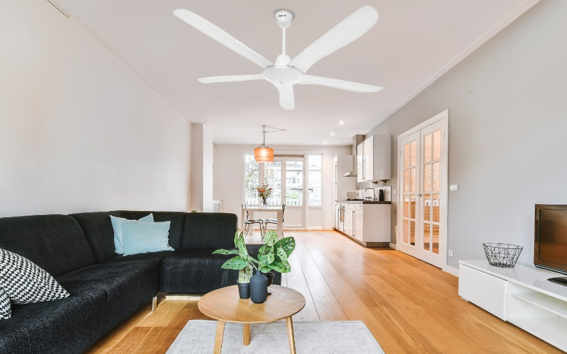 Quạt trần Rapido RCF-5W 