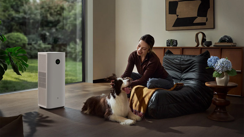 Xiaomi Mijia Smart Air Purifier 6 Plus có hiệu suất lọc ấn tượng