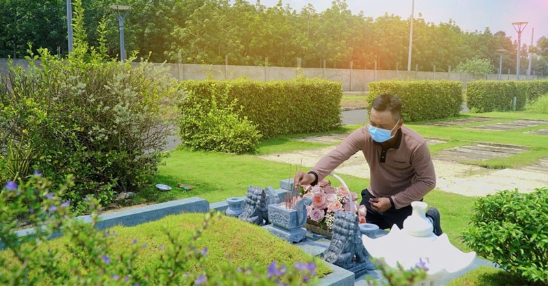 Tìm hiểu tất tần tật về tảo mộ