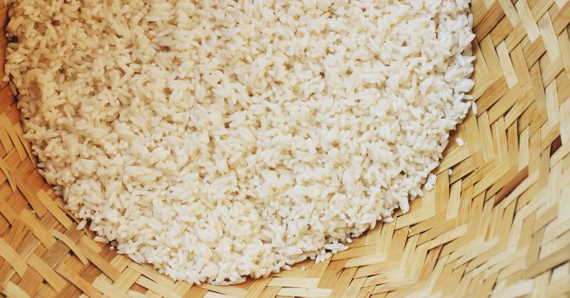 Gạo nếp chất lượng giúp bánh tét dẻo thơm, đậm vị 