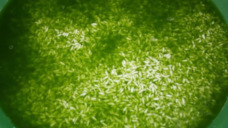 Xay nhuyễn 100g lá dứa với 1 lít nước rồi lọc lấy phần nước