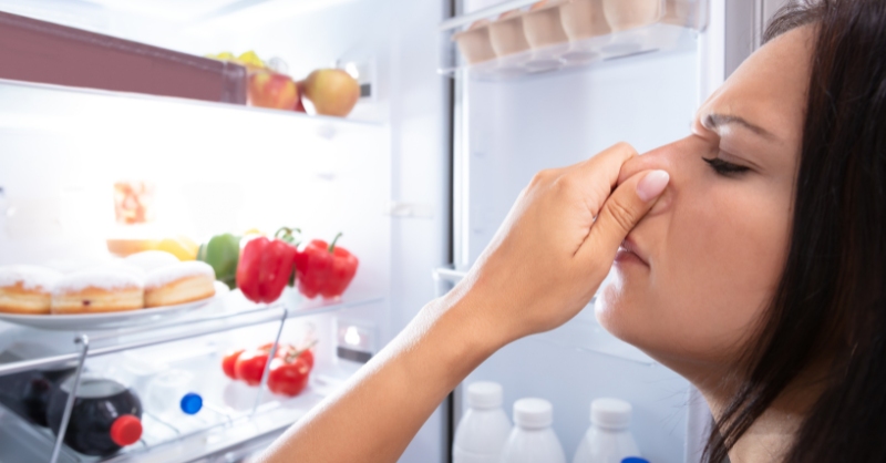 Vì sao tủ lạnh bốc mùi hôi, nguyên nhân thường gặp